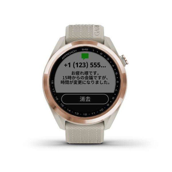 GARMIN ゴルフナビ GPS Approach S42 コース使用無し - アクセサリー