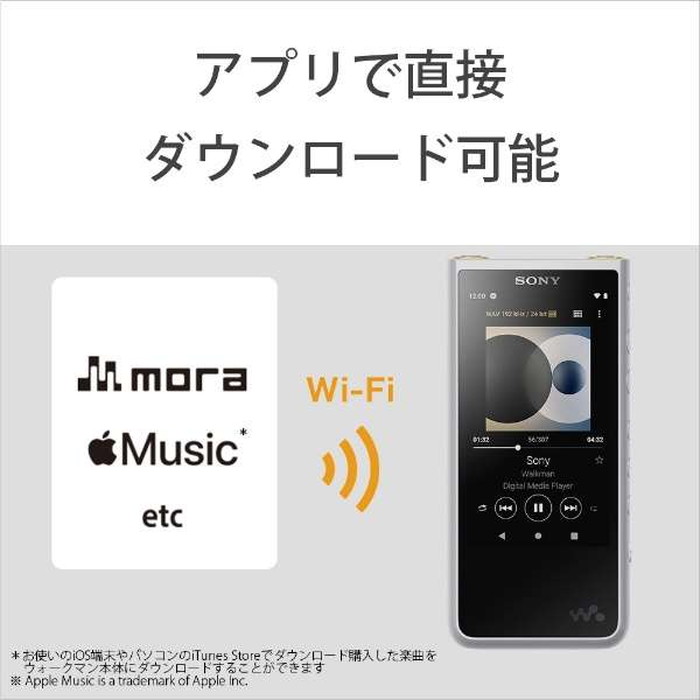 TOP1.com【本店】 / SONY ソニー ウォークマン NW-ZX507 (S) 64GB ZX ...