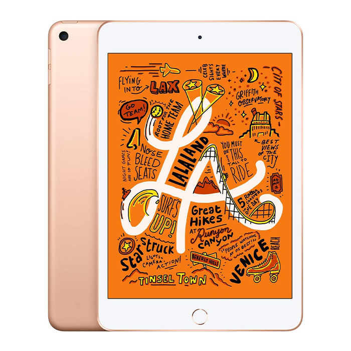 APPLE iPad mini5  グレー　WI-FI 64GB 検品済み