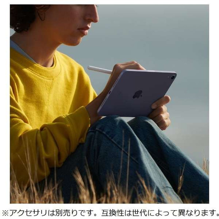 購入時期はいつ頃でしょうかApple iPad mini 64GB MK7M3J/A